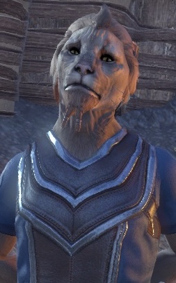Guild Herald Amsaad